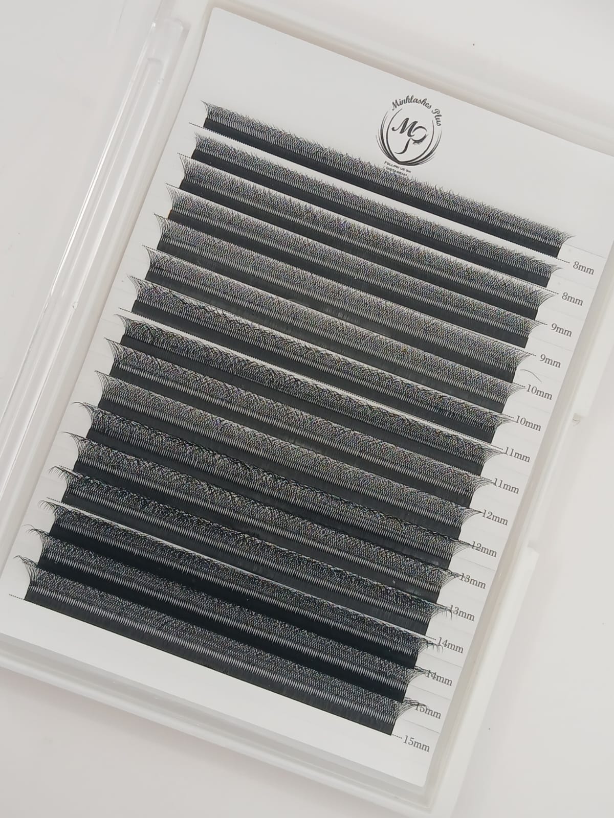 Large 5D lash tray