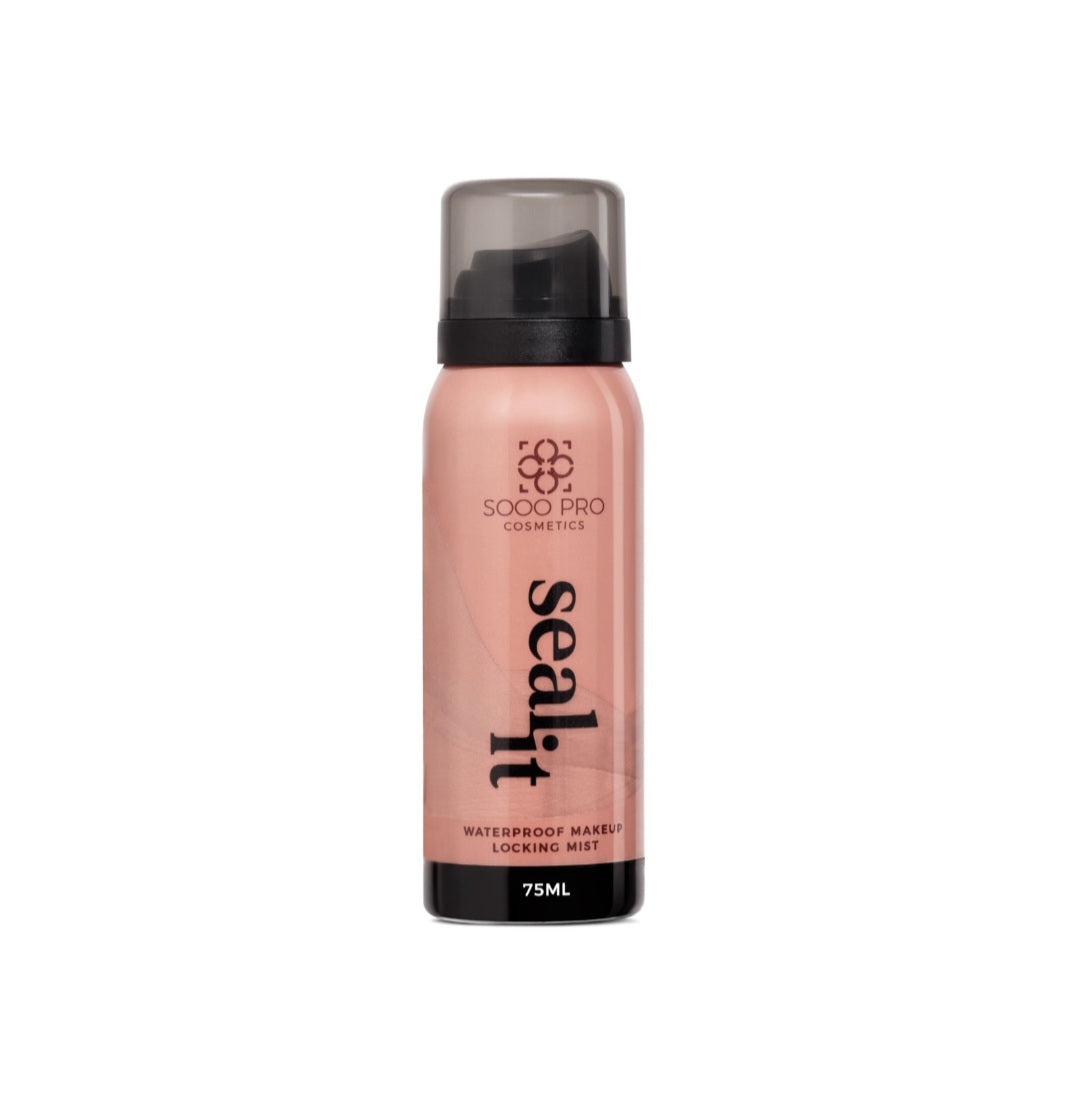 Seal it fixing spray