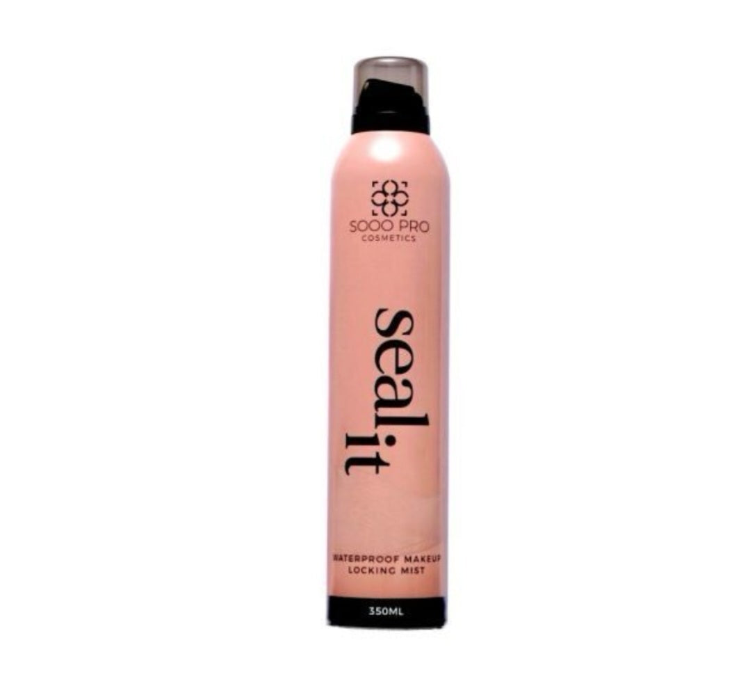 Seal it fixing spray