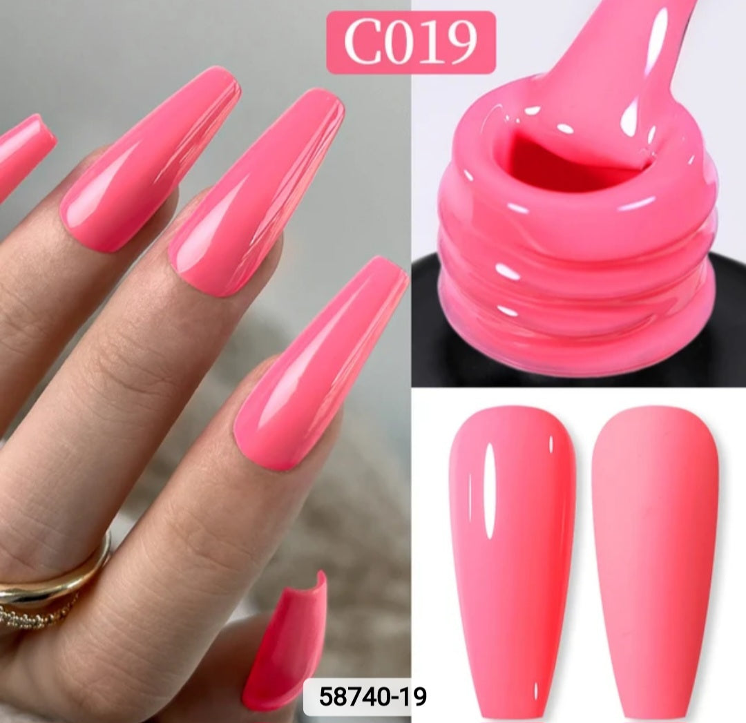 Born pretty gel colours