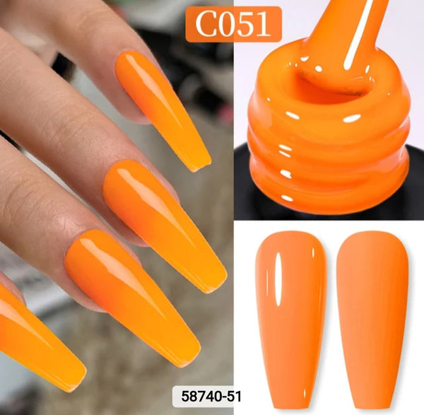 Born pretty gel colours